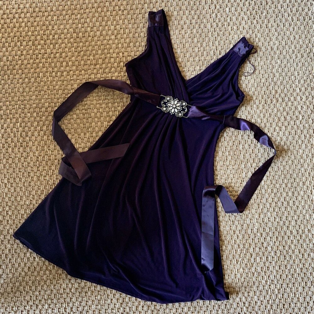 Scarlett Nite Eggplant Purple Knee Length V-Neck Dress Size 6P